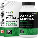 Renew Actives Moringa Leaf Supplement 800MG na 2 kapsułki - Przeciwutleniacz Rich Moringa Oleifera - Promotes Good Health & Wellness - Łatwy do połknięcia - Made in Canada - 120 kapsułek