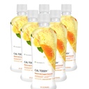 Młodość Cal Toddy - Wapń (Cytrat, Fosfat) Magnez 1,200mg / 600mg - Witaminy D-3, Cynk, Miedź, Potas, Bor & 70 + Ślady Mineralne Współczynniki - Wspiera zdrowie kości - 32 Fl Oz (Opakowanie 6)