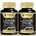 Lions Mane Supplement Kapsułki - 120 Hrabia - Suplement do Grzybów, Suplementy Mózgu dla Pamięci i Skupiania, Lion 's Mane Mushroom Kapsułki - Kognitive & Immune Supplement, Suplement Focus - 2 Pack
