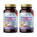 Solgar Kangavites, Bouncin 'Berry Flavor - 120 tabletek do rozgryzania i żucia, Opakowanie 2 - Kompletna formuła multiwitaminowa i mineralna dla dzieci - Wegan, Gluten Free
