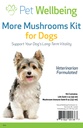 Pet Wellbeing More Mushrooms Kit for Dogs - Wsparcie dla układu immunologicznego i ochrony przeciwutleniacza - Vet- Skomponowane z indyka Ogon, Reishi, Maitake, Astragalus