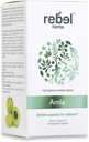 Rebel Herbs Amla kapsułki (Amalaki) - Wsparcie immunologiczne, Wegan, Gluten- Free, Ayurvedic, Przeciwutleniacz, Certified Organic Amla