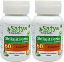Shilajit Forte Kapsułki 500 mg. 60 Veg. Kapsułka 124; Shilajit (Asphaltum) Wyciąg Kapsułki dla mężczyzn i kobiet 124; Ayurvedic Herbal Supplement / Remedies 124; 10: 1 Forte (2 Butelki 60 Kapsułek)