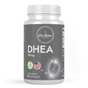 DHEA 100mg XI124; Non- GMO XI124; Gluten Free Supplement XI124; 60 kapsułki