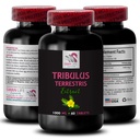 Moc wytrzymałościowa - TRIBULUS TERMINES IS EXTRACTS - Energia dla działalności, Formuła wsparcia energetycznego, Aktywne wsparcie energetyczne, Plant- Based Energy Boost, Moc działania, Aktywny trening Boost 1 Butelka 60 Tabletki