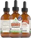 RawGuru Organic Reishi Mushroom Tincture - Reishi Mushroom Extract with Natural Trace Minerals - NanoProcessed Cognitive & Immune Support Supplement - 60 Servings of Vegan Drops per 60 ml, Opakowanie z 1