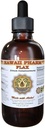 Flax Liquid Extract, Organic Flax (Linum usitatissimum)