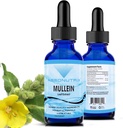 Absonutrix Mullein 300 mg, 4 Oz Liquid, 300 Servings, Made in USA, Szybka absorpcja, Jakość składników mocnych, Non-GMO, GMP Certified Facility, Cruelty- Free Products