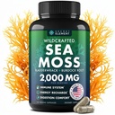 Sea Moss kapsułki - Irish Sea Moss Advanced z Burdock Root, Bladderwrack & Muira Puama dla odporności, Gut, & Energia - Superfood Sea Moss Suplementy w / Surowy Sea Moss Proszek - 120 Irlandzki Seamoss Pills