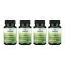 Swanson Bacillus Coagulans - Natural Probiotic Supplement Supplement Support Digestive Health w / 6 Miliard CFU - May Support GI & General Gut Health - (60 Veggie kapsułki) 4 Pack