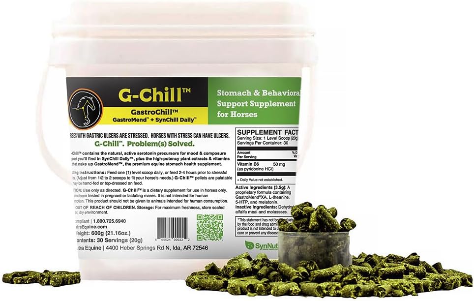 G- Chill All- Natural Digestive Health Support for Horses - 30 podań - Promotes Stomach & Hindgut Health, Aid in Gastric Ulcer Relief, Enhances Collagen & Fibronectin Production for Tissue Repair