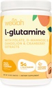 Wellah L- Glutamine Peach Mango (50 Sług) - 5g L- Glutamina Per Serving, Sweetened with Stevia