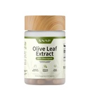 Suplementy Snap Olive Leaf Extract Kapsułki - Super Siła 40% Oleuropeina do wspomagania przepływu krwi, Poprawa trawienia, Antyoksydant suplement Boost, Poprawa funkcji mózgu (60 Kapsułki)