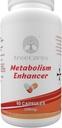 Metabolizm