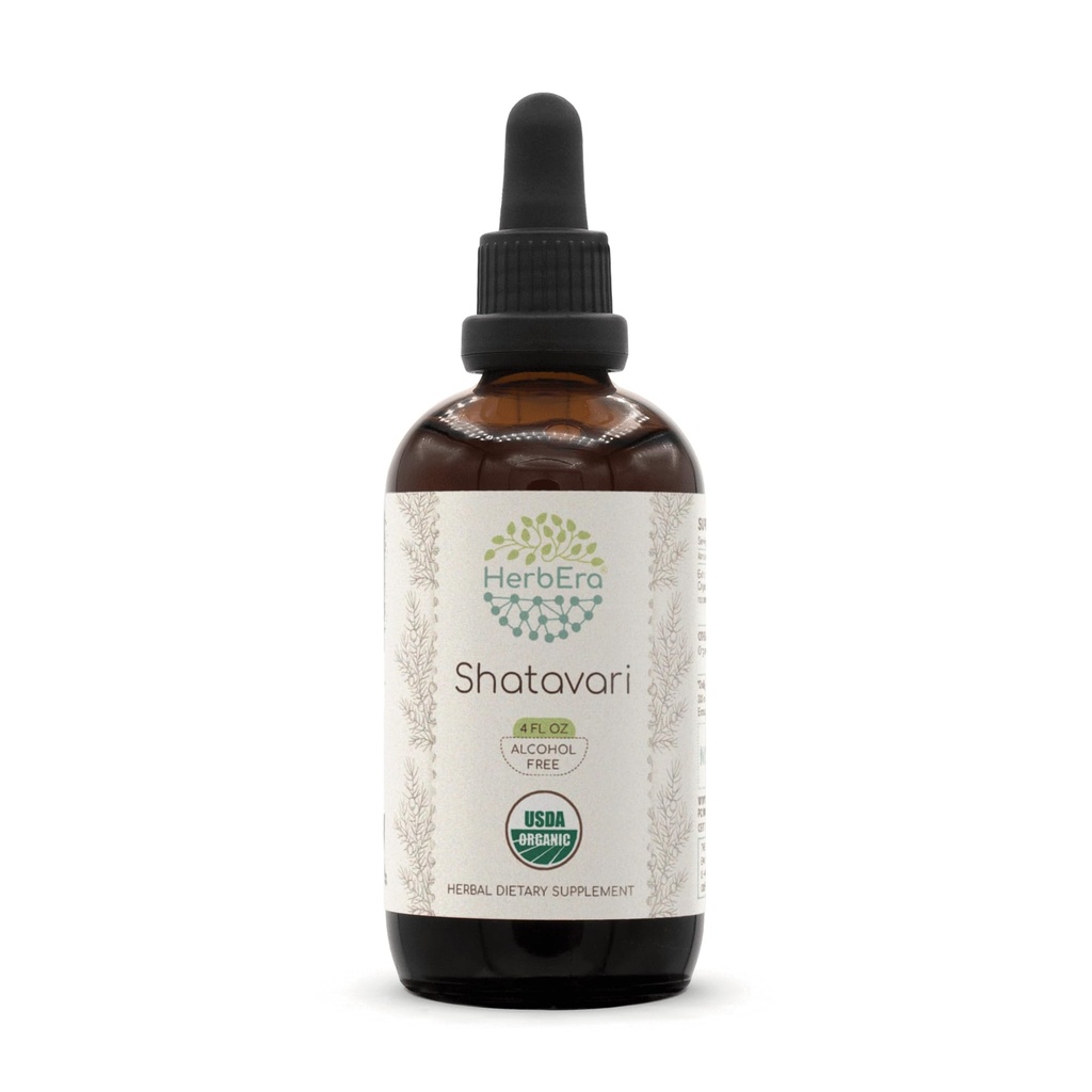 HerbEra Shatavari B120 USDA Organic Tincture Nether124; Alcohol- Free Extract, High- Pottency Herbal Drops Nether124; Certified Organic Shatavari (Asparagus racemosus) Dried Root (4 oz)