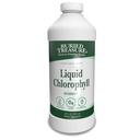 Pochowany Treasure Liquid Chlorophyll 100 mg, Suplement diety, Poparcie pokarmowe jelit Natural Body Deodorant Vegan non-GMO Alkohol Free, Flavor 32oz