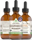 RawGuru Lion 's Mane Mushroom Tincture - Vegan Lion' s Mane Extract with Trace Minerals - NanoProcessed Immunity Boost & Cognitive Supplement - 120 Servings of Vegan Drops per 60 ml, Opakowanie z 1
