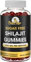 Sugar Free Shilajit Gummies (1000mg Serving) - Natural Himalayan Organic Fulvic Acid Shilajit Suplement dla mężczyzn i kobiet -60 Gumy Chews