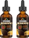 Berberine Suplement z Ceylon Cynamon 3000mg - Wysoka biodostępność Liposomal Berberine płynne krople, Berberine HCL Complex Plus suplementy turmerowe, Aktywator AMPK, Nadaje się dla kobiet, Men- 120ml
