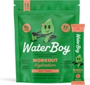 Waterboy Workout Hydration 124; 2,960mg Sugar Free Electrolyte Powder Pakiety do sporządzania proszku 124; L- Glutamine + Vitaminy 124; No Sugar, All Natural, Gluten Free 124; 15 Drink Stick Mixes (Fruit Punch)