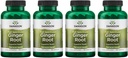 Swanson Full Spectrum Ginger Root 540 mg 100 Caps (4 opakowania)