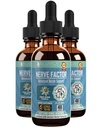 Rejuvica Health NerveFactor - Advanced Nerve Supplement - Liquid Delivery for Better Absorption - Acetyl- L- Carnitine, Alpha Lipoic Acid, Witamina B12, Kwas foliowy, Biała Willow Bark & More!