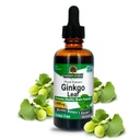 Nature 's Response Alcohol- Free Ginkgo Leaf 2000mg 2oz Extract Description 124; Stimulds Memory, Mood & Concentration Description 124; Gluten- Free, Kosher Certified & No Conservatives