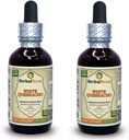 White Quebracho (Aspidosperma Quebracho- Blanco) Tincture, Dried Bark Powder Liquid Extract (Nazwa marki: HerbalTerra, Proudly Made in USA) 2x2 fl.oz (2x60 ml)