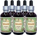 Prelium (Plantago Ovata) Glicerite, Organic Dried Husk Free Liquid Extract (Nazwa marki: HerbalTerra, Proudly Made in USA) 5x2 fl.oz (5x60 ml)