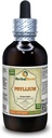 Psyllium (Plantago Ovata) Tincture, Organic Dried Husk Liquid Extract (Nazwa marki: HerbalTerra, Proudly Made in USA) 4 fl.oz (120 ml)