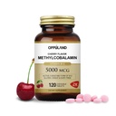 Metyl B- 12 5000mcg do żucia z folianem - Witamina B12 Metylkobalamina Tabletki podjęzykowe - Wspomaga energię i funkcje mózgu - suplement wegański - Flavor wiśniowy - 120