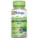 SOLARAY Saw Palmetto Berry 580 mg, Healthy Prostate and Urynary Tract Support from Fatty Acids & Plant Sterols for Men and Women, Non-GMO, Vegan & Lab Verified, 100 VegCaps, 100 Servings