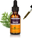 Herb Pharm Thuja Branchlet Liquid Extract - 1 unce (DTHUJA01)