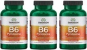 Swanson B6 Pyridoxine - Suplement Witaminy Promowanie Zdrowia i Energii sercowo-naczyniowej Metabolizm - Naturalna Formuła Promowanie Ogólnego Wellness - (250 kapsułek, 100 mg każdego) 3 opakowania