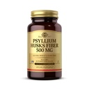 Solgar Pyllium Husks Fiber 500 mg - 200 Kapsułki warzyw - Non-GMO, Wegan, Gluten Free, Dairy Free, Kosher - 100 Służenia