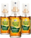 Beelife Propolis Throat Spra- Soothing Honey & Ginger Propolis Spra- Naturalne wsparcie immunologiczne & Bee Propolis Extract- Przeciwutleniacze, bogaty w flavonoids & Arterabrinin, No Sugar, Gluten- Free- 3- Pack, 90ml