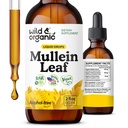 Wild & Organic Mullein Drops for Lungs - Lung Detox and Cleanse - Liquid Mullein Leaf Tincture with Echinacea & Licorice Root - Vegan, Sugar & Alcohol- Free Extract Supplement - 2 fl oz