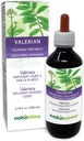 Naturalma Valerian (Valariana officinalis) Root Alcohol Free Tincture - 6.76 fl oz Liquid Extract in Drops - Herbal Supplement - Vegan