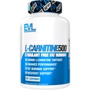 EVL L- Carnitine Supplement for Weight Loss Support - L Carnitine Tartrate for Cellular Energy Focus Endurance and Fat Burning Support - Stymulant Free Amino Acid for Fat Metabolity (120 Servings)