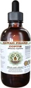 Ekstrakt płynny bez alkoholu Coptis (Rhizoma Coptidis) Suszony glicerol korzeniowy Hawaje Pharm Natural Herbal Supplement 2 oz