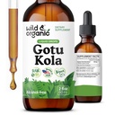 Wild & Organic Gotu Kola Herb Tincture - Brain Support - Gotu Kola Liquid Extract Drops - Vegan, Sugar & Alcohol- Free Centella Asiatica Supplement - 2 fl oz