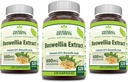 Herbal Secrets Boswellia Serrata Extract (65% Acids Boswellic) 600 mg Capsules Supplement Agregat 124; Non-GMO España 124; Gluten Free (120 España 124; 3 Pack)