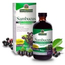 Odpowiedź natury Sambucus Elder Berry ekstrakt Syrop 8 unce (3 Pack) 124; Codzienne wsparcie immunologiczne 124; Pakowane z przeciwutleniaczami 124; Przyjazny rodzinie 124; Defender sezonu spalania