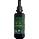 Global Healing Center - Organic Tulsi (Holy Basil Leaf Extract) Vegan Liquid Supplement Drops (Organic Basil) - Biodostępny Herb dla normalnej odpowiedzi na stres, Natural Energy & Immune Support