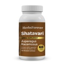 Herbsforever Shatavari Kapsułki Premium Asparagus Racemosus Supplement 40% Saponiny 750 mg Wysokiej mocy Formuła - 60 Kapsułki wegetariańskie Herbal Wellness & Balance Support Non-GMO