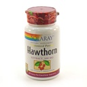 SOLARAY Hawthorn Extract 100 mg