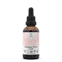 Stinging Nettle Leaf USDA Organic Alcohol-Free Extract Agregat 124; Suplement diety, Wysokiej mocy Tincture 124; Natural Certified Organic Stinging Nettle (Urtica Dioica) Suszony Liść (2 oz)