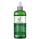 Wszystkie naturalne zabiegi wyprysk - łuszczyca Leczenie - All- in-One Solution dla trądziku, dermatologia, Rosacea, opryskiwacze, gryzie, Poison Ivy - Spray anty-Itch dla swędzi skóry Relief 4oz