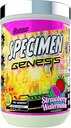 Specimen Full Spectrum Wysoka stymulant Pre- Workout Powder Building 124; Nadładowana energia & Pompy mięśniowe + Focus & Hydration Adult 124; Wielki aromat Far- Out (Truskawkowy Arbuz V3)