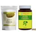 HERBAL HILLS Gurmar Tea Powder i Karela kapsułki Opakowanie 2 Combo